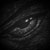 :iconerug: