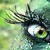 :iconerynluin: