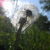 :iconerynnadare: