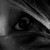 :iconeryxbernhard: