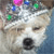 :icones64photo-and-sketch: