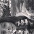 :iconescape-the-veil: