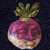 :iconescherichia-coli: