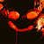 :iconescprod: