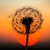 :iconescritor13: