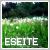 :iconeseite: