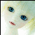 :iconeskiii: