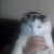 :iconespiofan1: