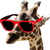 :iconespressodoble: