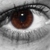 :iconesseti84: