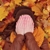 :iconessy3:
