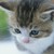 :iconestella-sparkles: