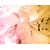 :iconesterielle: