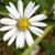 :iconestheraphy: