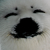 :iconesthermyla: