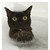 :iconestherorphan: