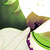 :iconestrella118: