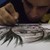 :iconestudio-corvo: