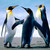 :iconet3rnity-artworks: