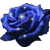 :iconetameta: