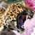 :iconeterdis: