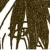 :iconEternal-Echoes: