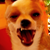 :iconeternal-infinity:
