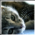 :iconeternaldiamond: