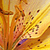 :iconeternalgrace: