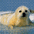 :iconeternalsolarflare: