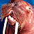 :iconeternalwalrus: