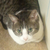 :iconeternalweaver: