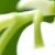 :iconeternity-moments: