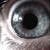 :iconethaga: