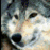 :iconethancormack: