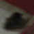 :iconetherdigital: