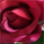 :iconetherealsweet: