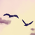 ethero :iconethero: