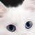 :iconetherwyrm: