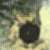 :iconethrealangel: