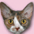 :iconEtienneEleven:
