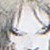 :iconetnc: