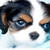 :iconetouch: