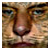 :iconetoven: