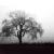:iconetrnalserenity: