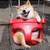 EunikeDarkSoul :iconeunikedarksoul: