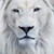 :iconeuphoria-san: