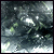 :iconeuphoria1: