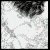 :iconeurynome: