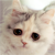 :iconeva-diva: